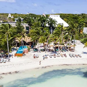 Mayan Monkey - Social (adults Only) **** Isla Mujeres